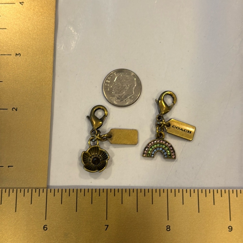 Authentic Coach Rainbow and tea rose Dinky Charms